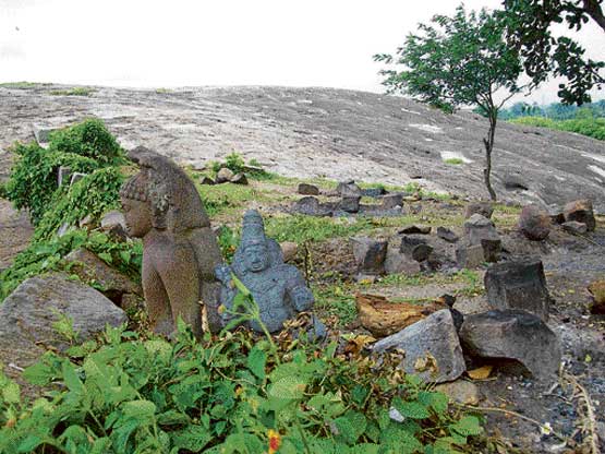 Maddur 555